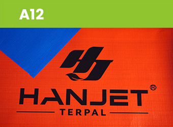 A12
