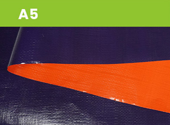 A5